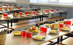 Депутаты приняли вопрос о рассмотрении горячего питания для учеников с 1 по 4 классы