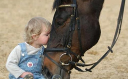 Конкурс детского рисунка «Лошади и дети. Детский конный спорт» продлен до 4 декабря!