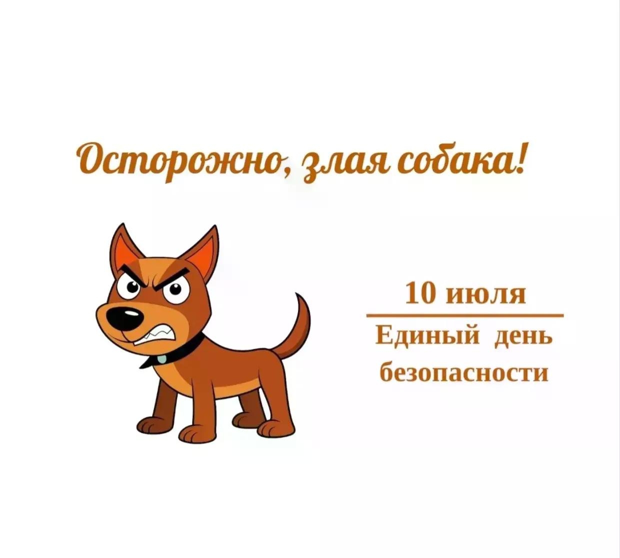 Осторожно, злая собака!